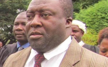 Outgoing US envoy provides Zambians grounds to vote out UPND - Musenge