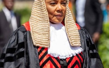 Hate speech, misinformation a threat to democracy - Mutti   