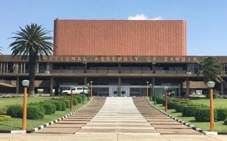 Gambling must be regulated – docs