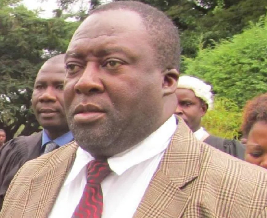 Outgoing US envoy provides Zambians grounds to vote out UPND - Musenge