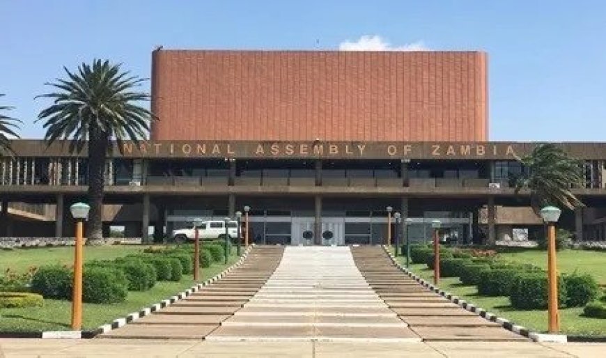 Gambling must be regulated – docs