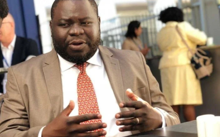 Foreign reserves key to economic stability – Haabazoka