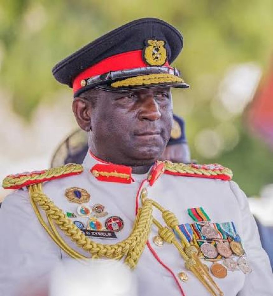 ‘Army should stay out of politics’ – Sinkamba