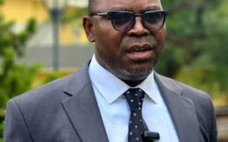 UPND shamelessly used me to demonise PF – Samakayi
