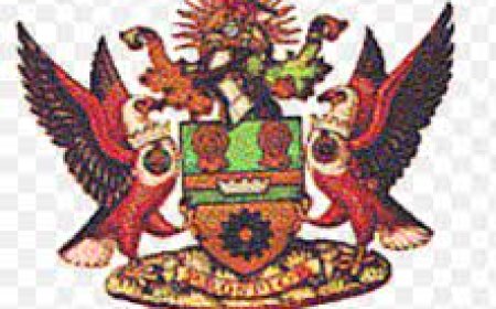 Construction of eight roads in Lusaka  – LCC