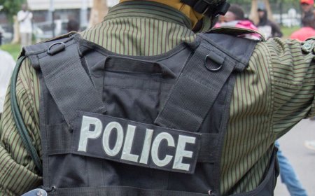 Cattle herder steals 32 cows, hides some in father-in-law’s kraal
