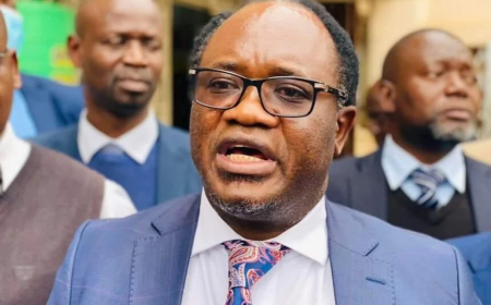 Police attempted to disperse our rally – Mundubile