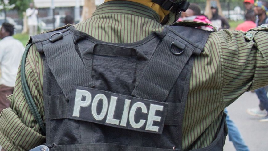 Cattle herder steals 32 cows, hides some in father-in-law’s kraal