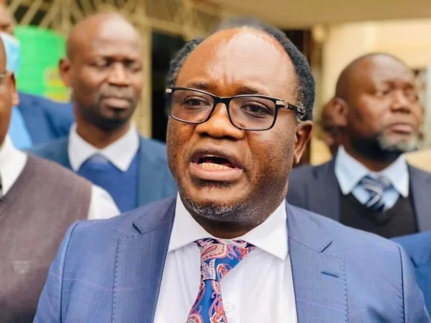 Police attempted to disperse our rally – Mundubile