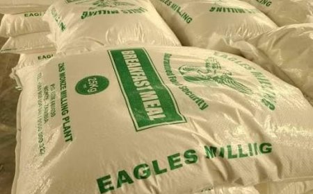 Eagle Milling a conduit for looting - Mundubile
