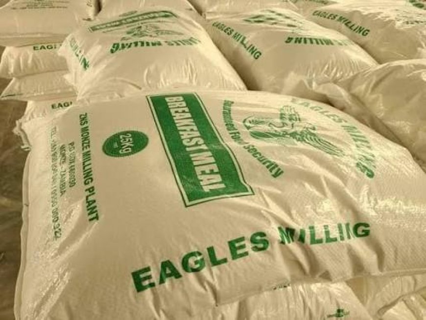 Eagle Milling a conduit for looting - Mundubile